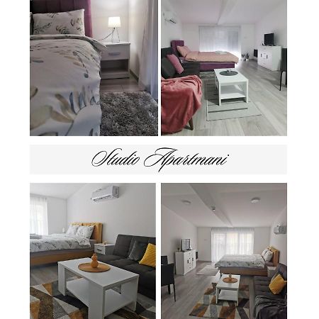 Studio Apartmani Banja Koviljaca Ngoại thất bức ảnh