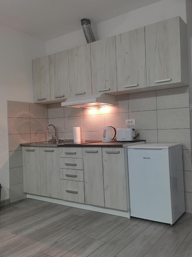 Studio Apartmani Banja Koviljaca Ngoại thất bức ảnh