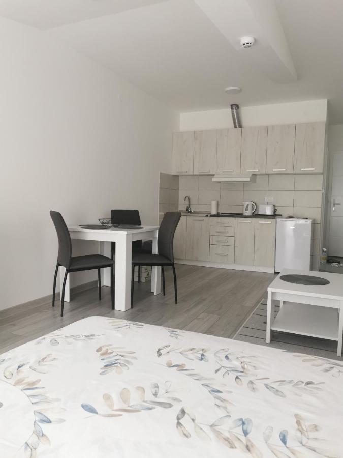 Studio Apartmani Banja Koviljaca Ngoại thất bức ảnh