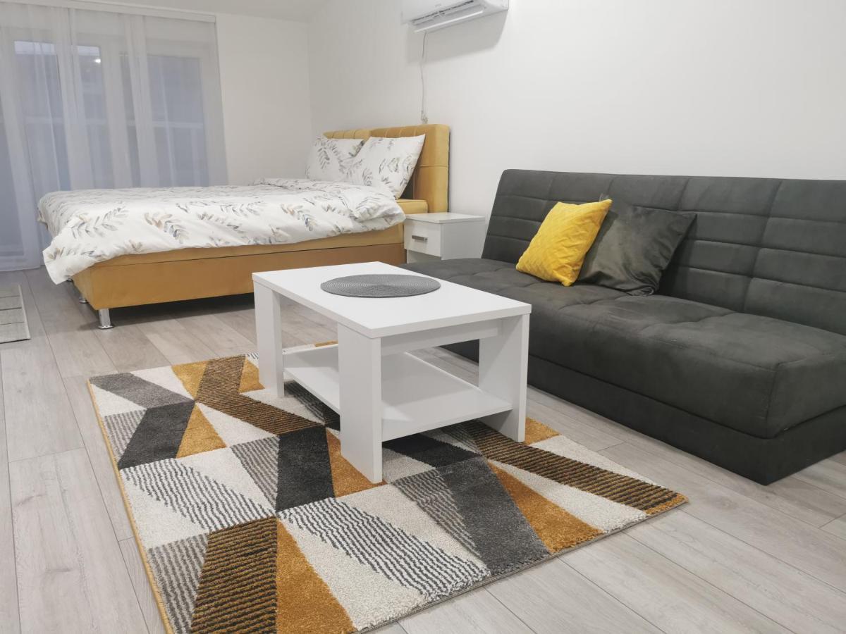 Studio Apartmani Banja Koviljaca Ngoại thất bức ảnh