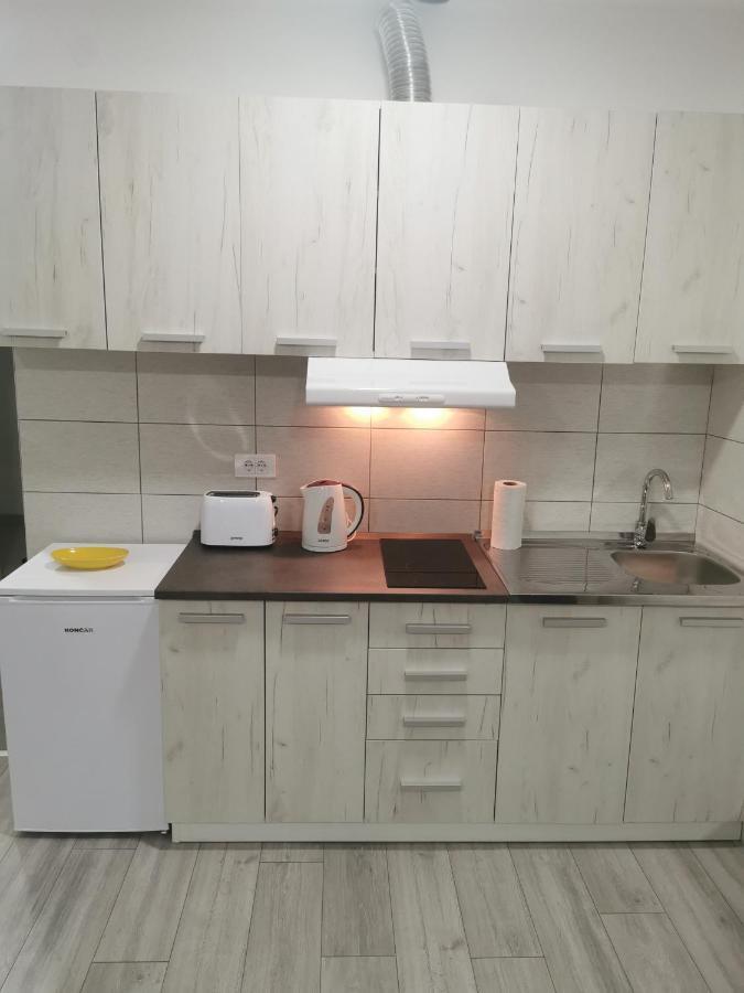 Studio Apartmani Banja Koviljaca Ngoại thất bức ảnh