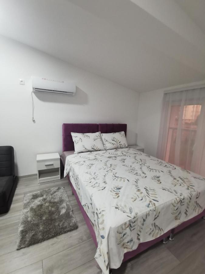 Studio Apartmani Banja Koviljaca Ngoại thất bức ảnh