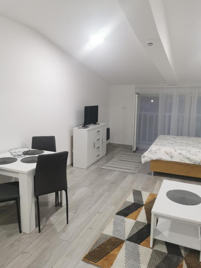 Studio Apartmani Banja Koviljaca Ngoại thất bức ảnh