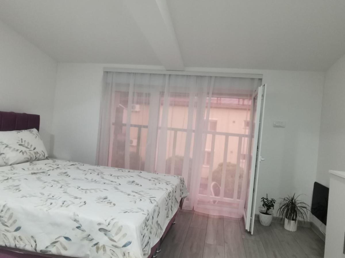 Studio Apartmani Banja Koviljaca Ngoại thất bức ảnh