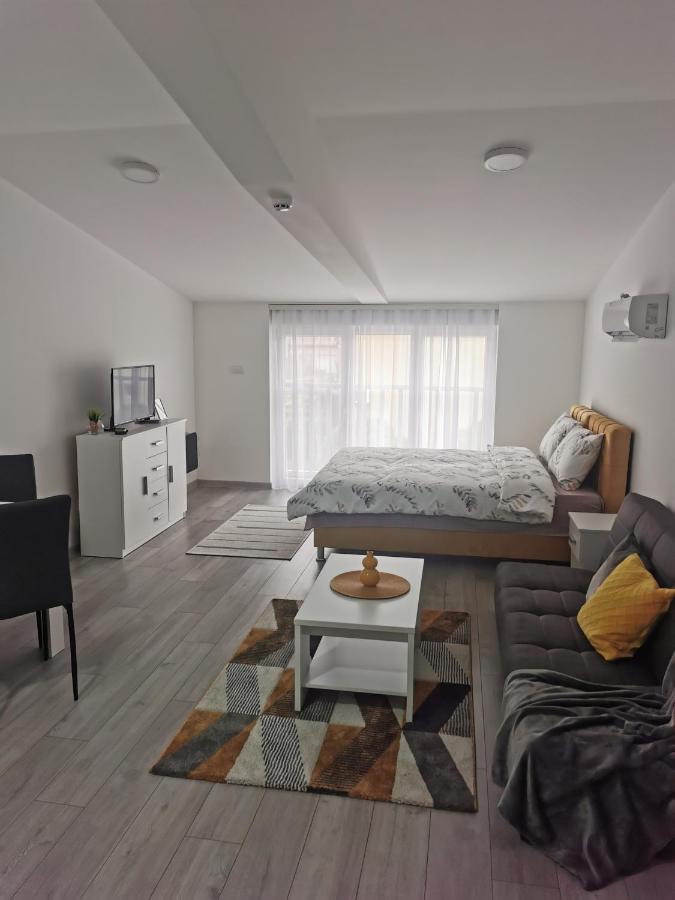Studio Apartmani Banja Koviljaca Ngoại thất bức ảnh