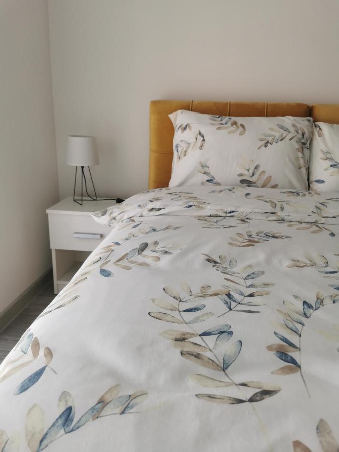 Studio Apartmani Banja Koviljaca Ngoại thất bức ảnh