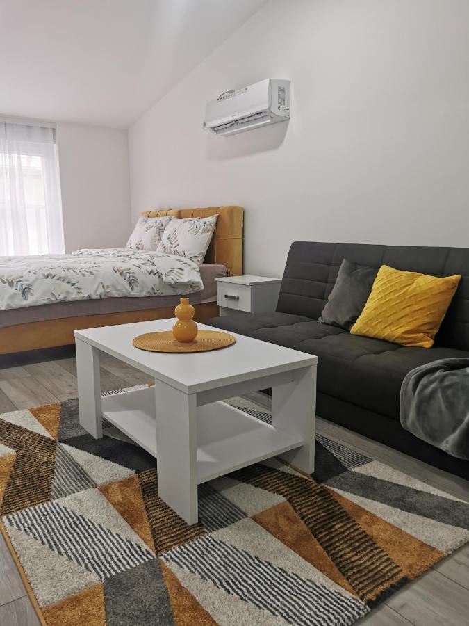 Studio Apartmani Banja Koviljaca Ngoại thất bức ảnh