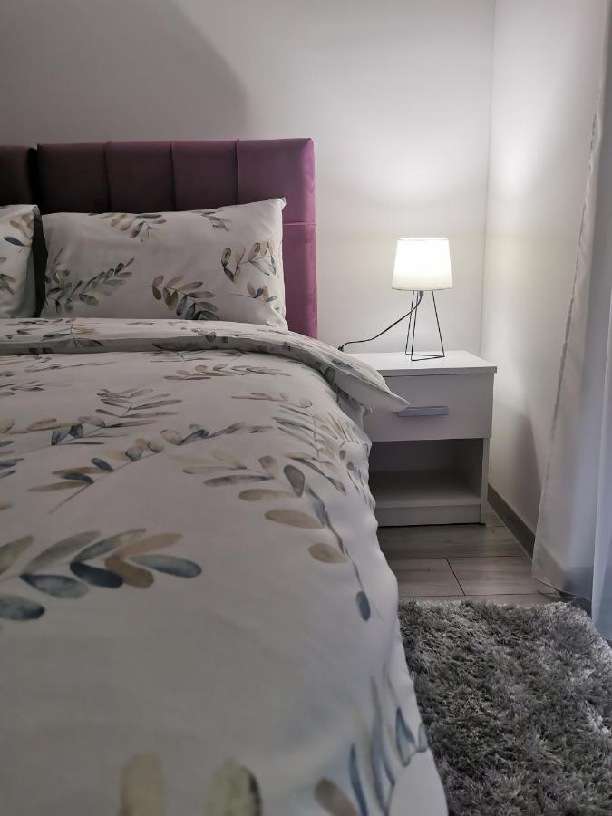 Studio Apartmani Banja Koviljaca Ngoại thất bức ảnh
