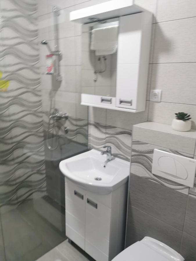 Studio Apartmani Banja Koviljaca Ngoại thất bức ảnh
