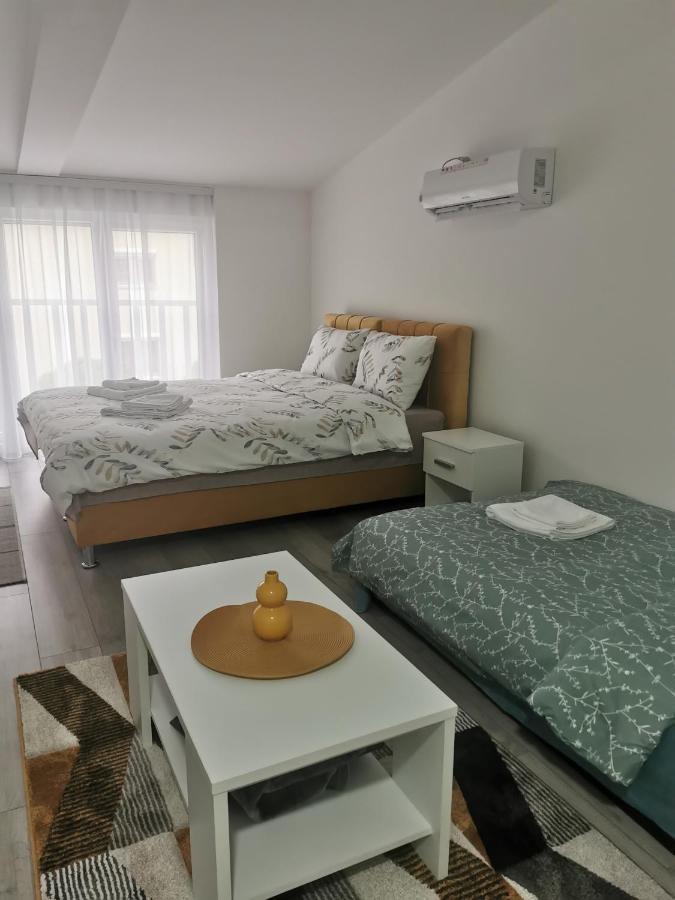 Studio Apartmani Banja Koviljaca Ngoại thất bức ảnh