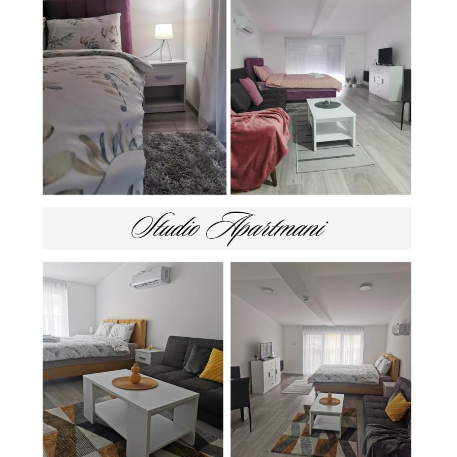 Studio Apartmani Banja Koviljaca Ngoại thất bức ảnh