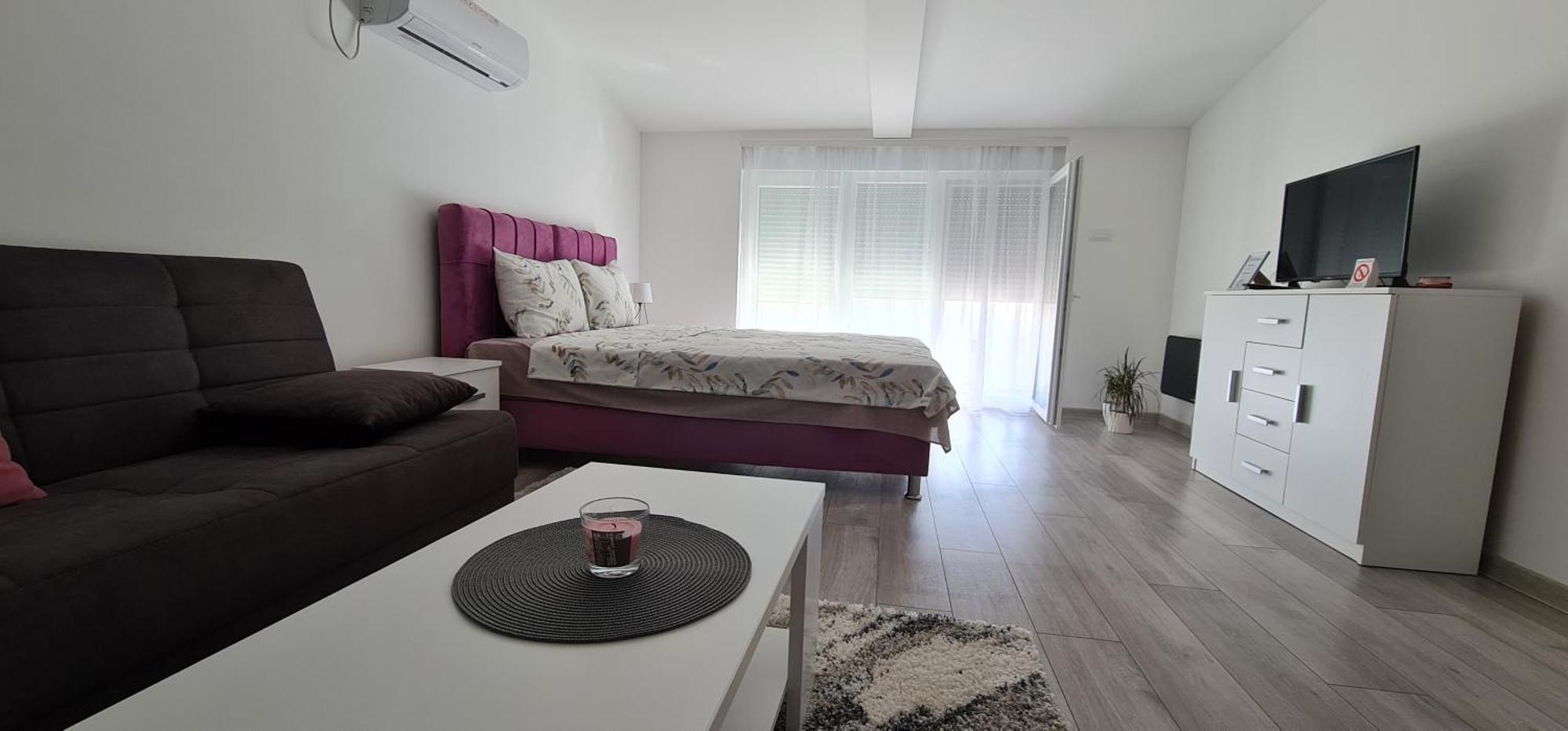 Studio Apartmani Banja Koviljaca Ngoại thất bức ảnh