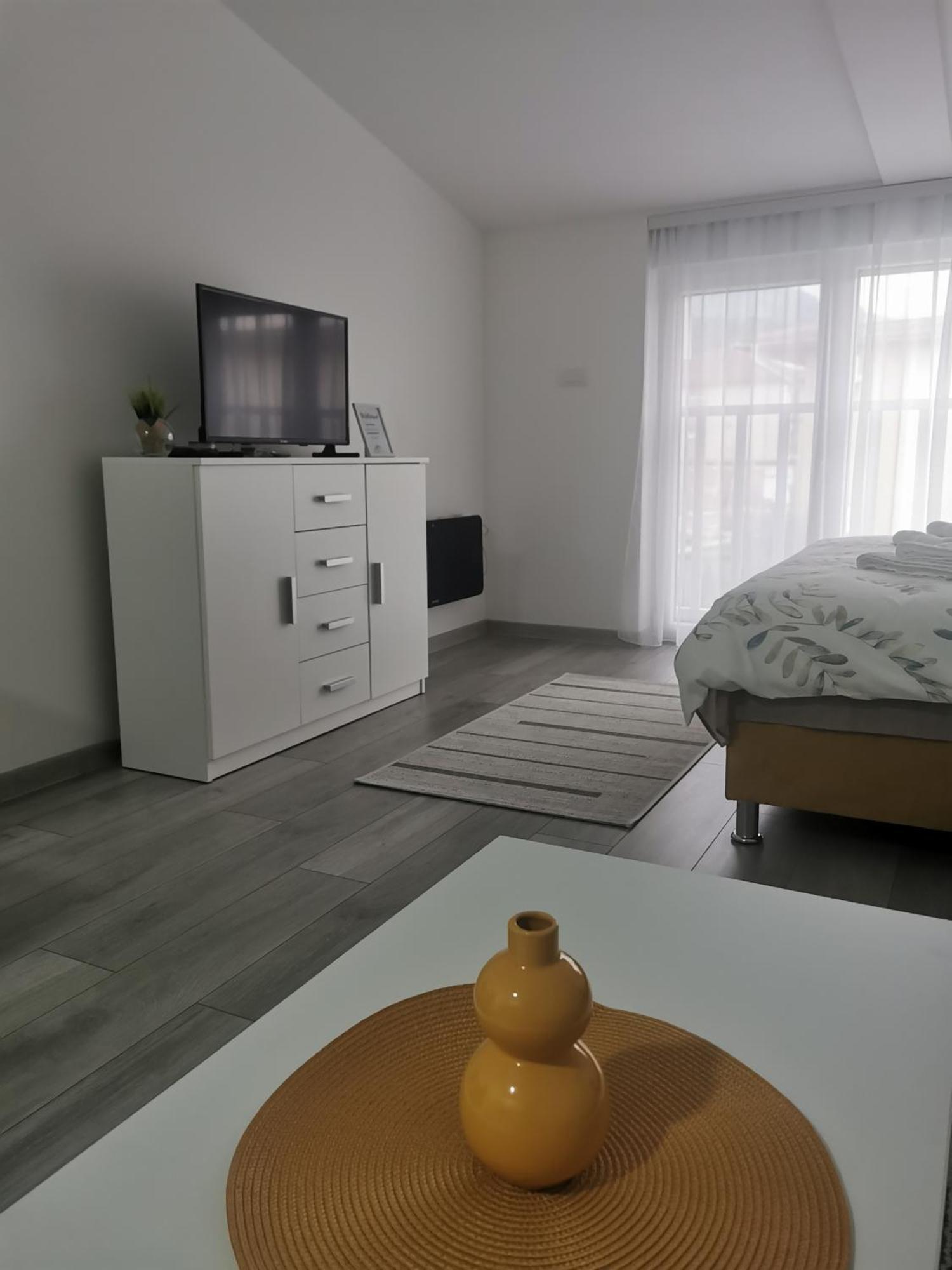Studio Apartmani Banja Koviljaca Ngoại thất bức ảnh