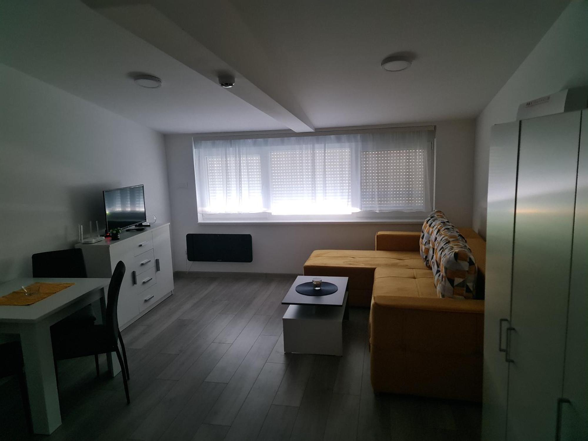 Studio Apartmani Banja Koviljaca Ngoại thất bức ảnh