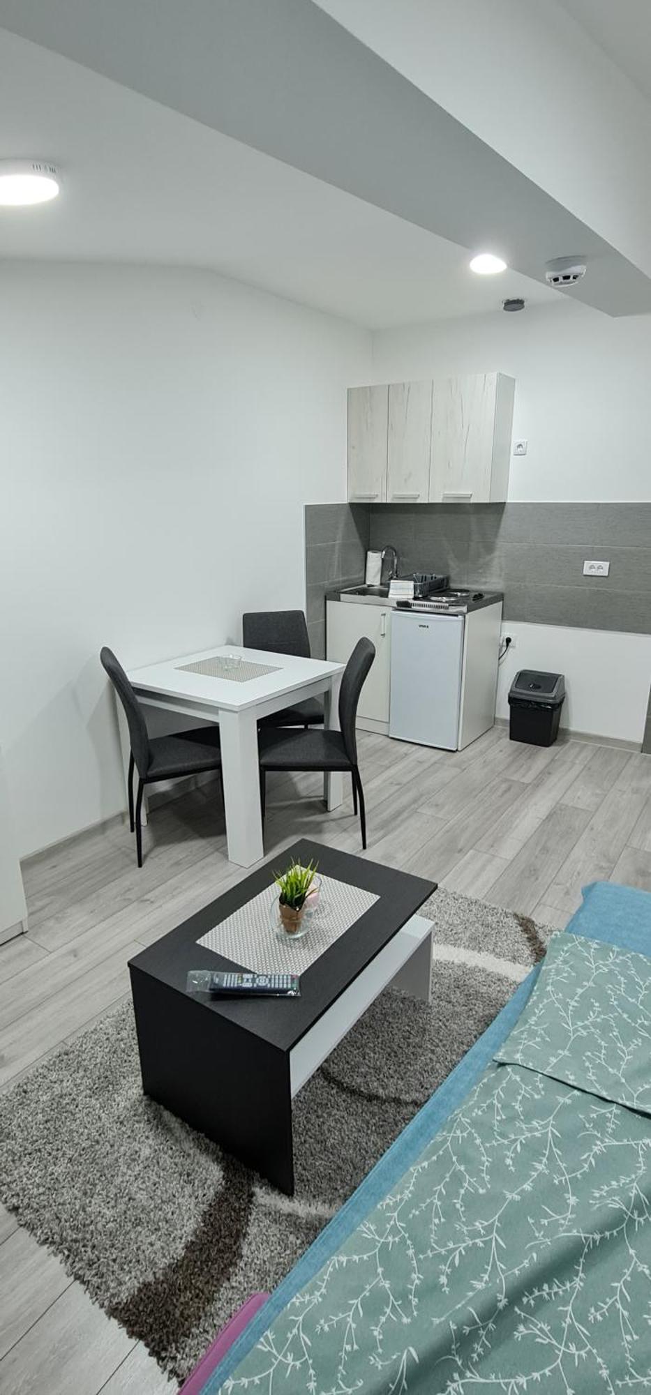 Studio Apartmani Banja Koviljaca Ngoại thất bức ảnh
