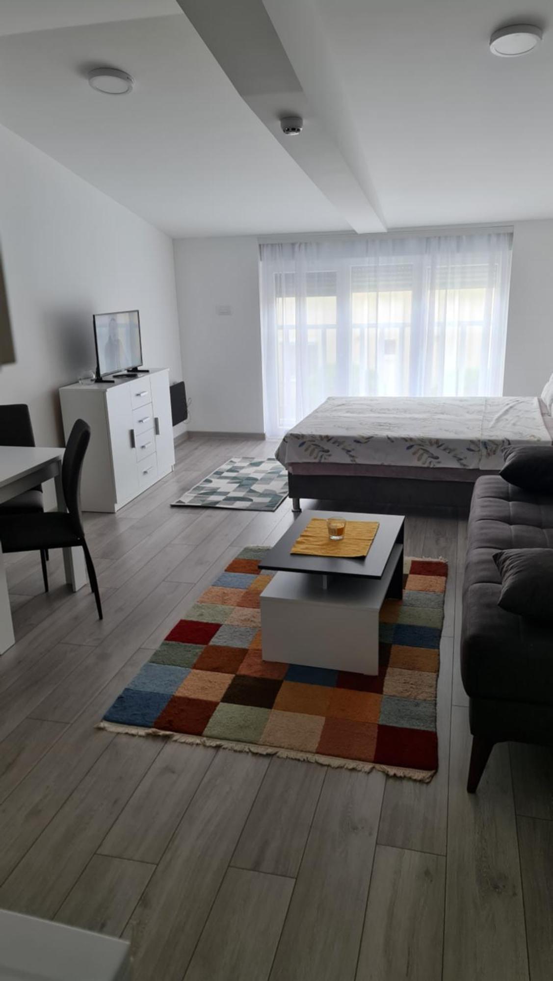 Studio Apartmani Banja Koviljaca Ngoại thất bức ảnh