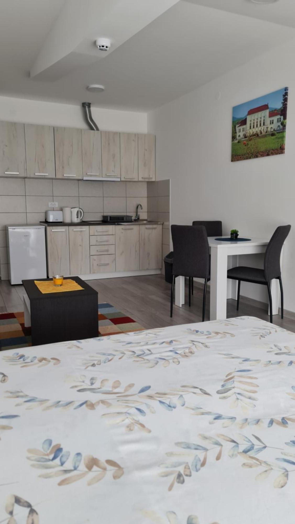 Studio Apartmani Banja Koviljaca Ngoại thất bức ảnh