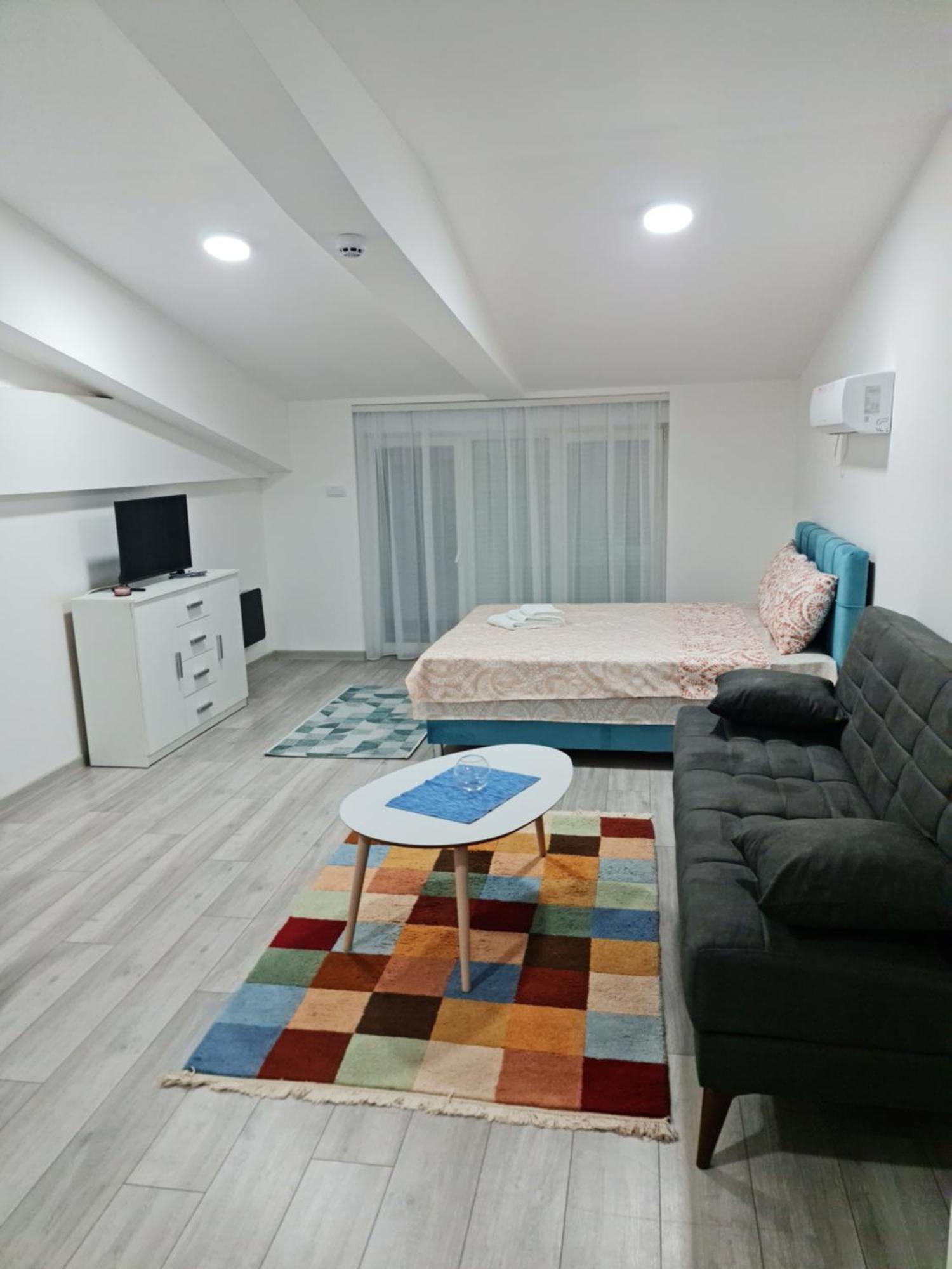 Studio Apartmani Banja Koviljaca Phòng bức ảnh