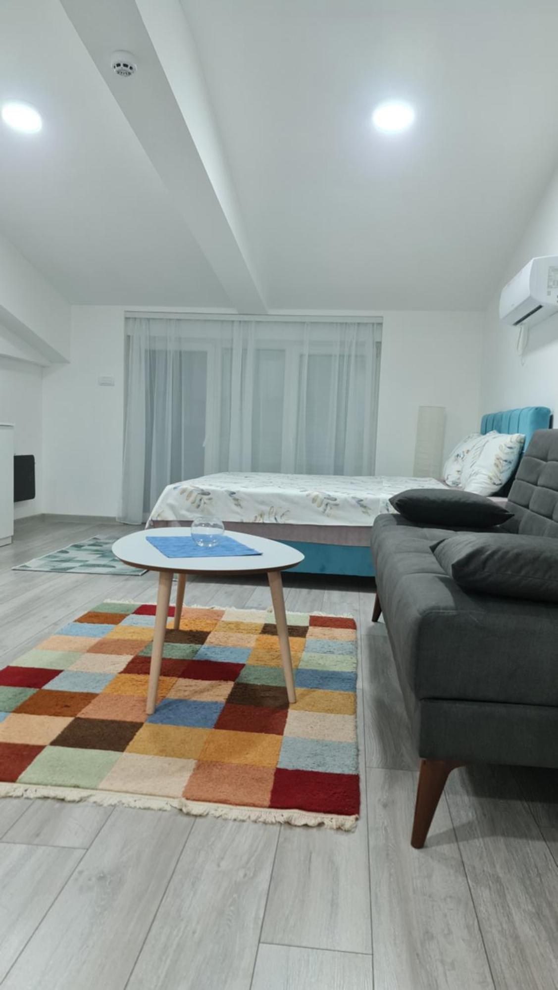 Studio Apartmani Banja Koviljaca Phòng bức ảnh