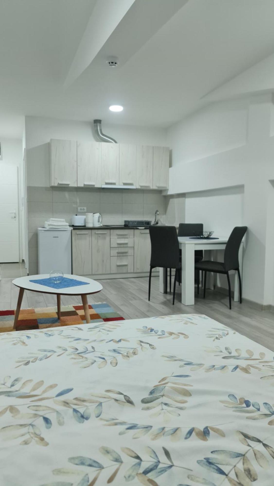 Studio Apartmani Banja Koviljaca Phòng bức ảnh