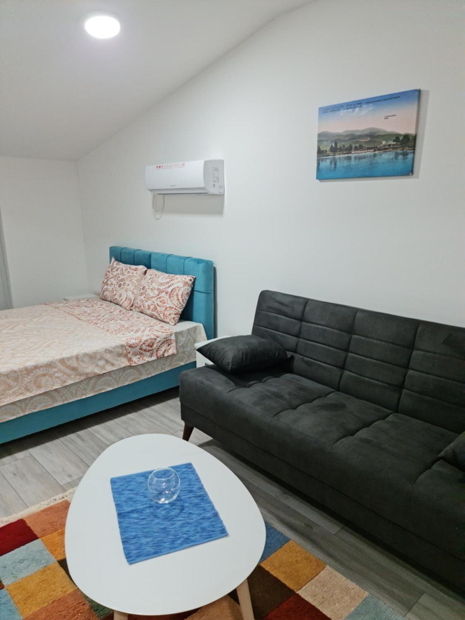 Studio Apartmani Banja Koviljaca Phòng bức ảnh