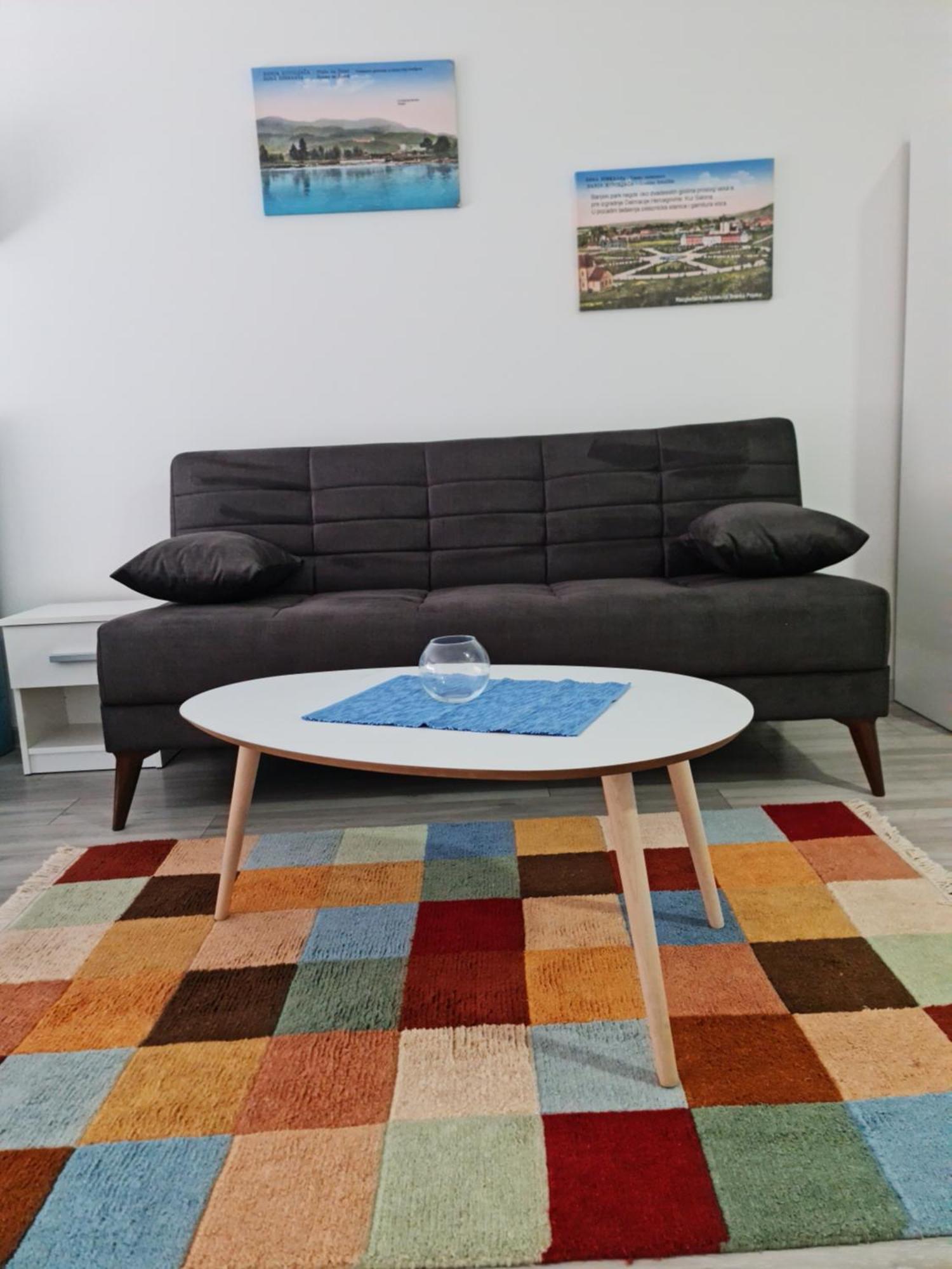 Studio Apartmani Banja Koviljaca Phòng bức ảnh
